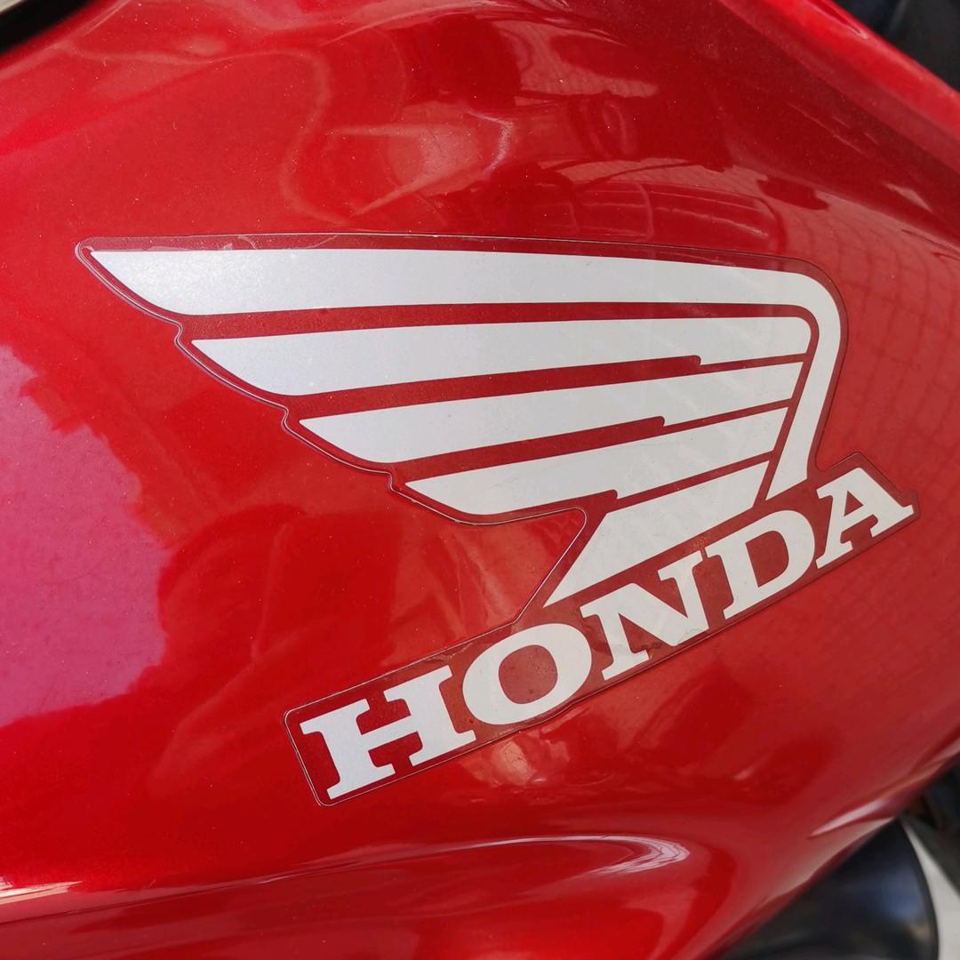 龙头哥羽翔摩配