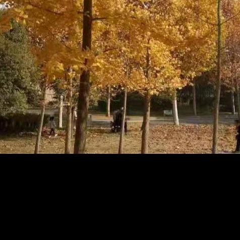 方圆鼓舞~芳