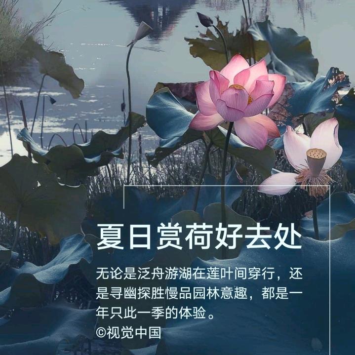 ꕥ⃝ᮨ້ۖ俗້ۖᮨ人ᮨ້࿐໌ᮨ