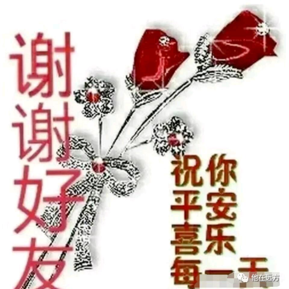 自然徽笑(拒绝私聊合影