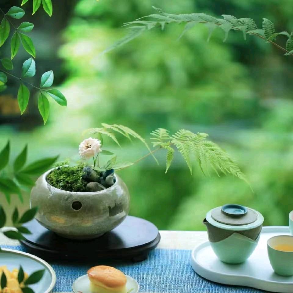 一杯清茶