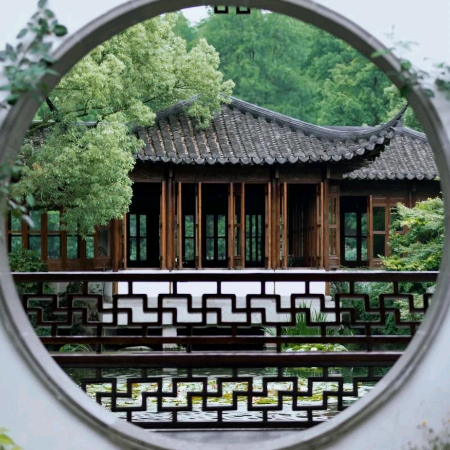 白桦林