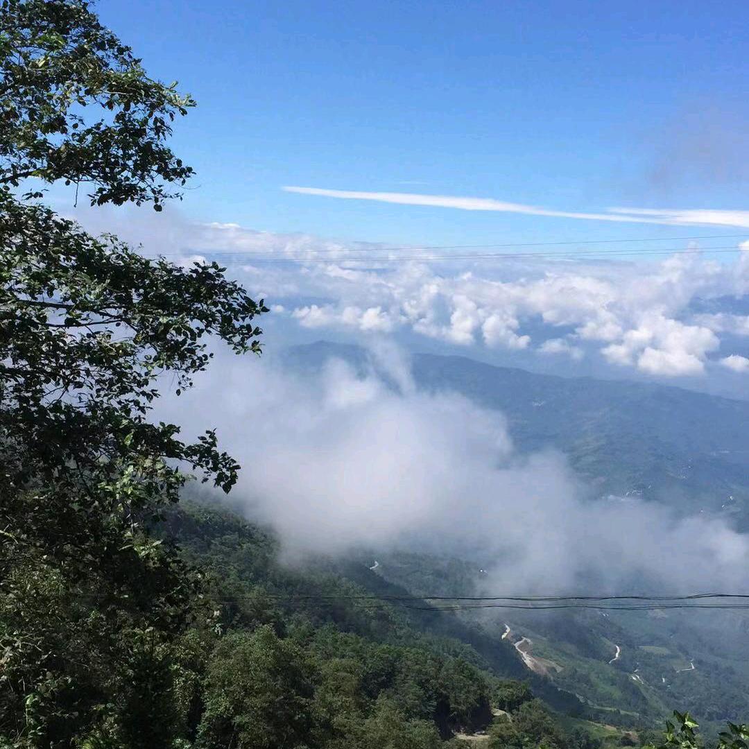 菩提本无树@明镜亦非台