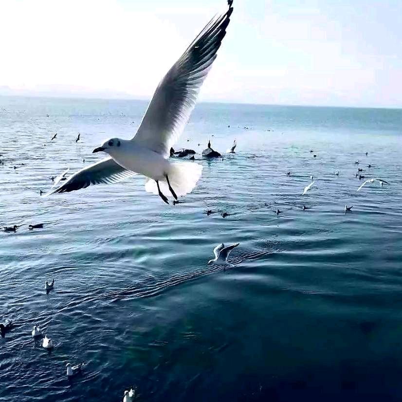 开心（12月5日15：00首播）