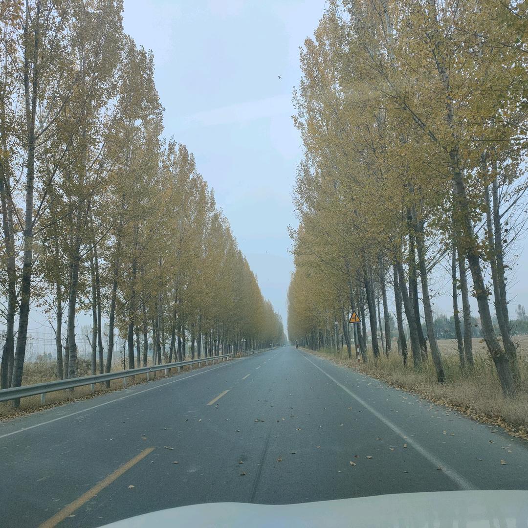 风飞扬
