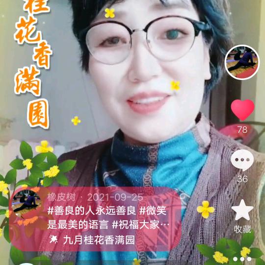 橡皮树