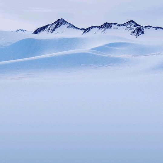 上山虎