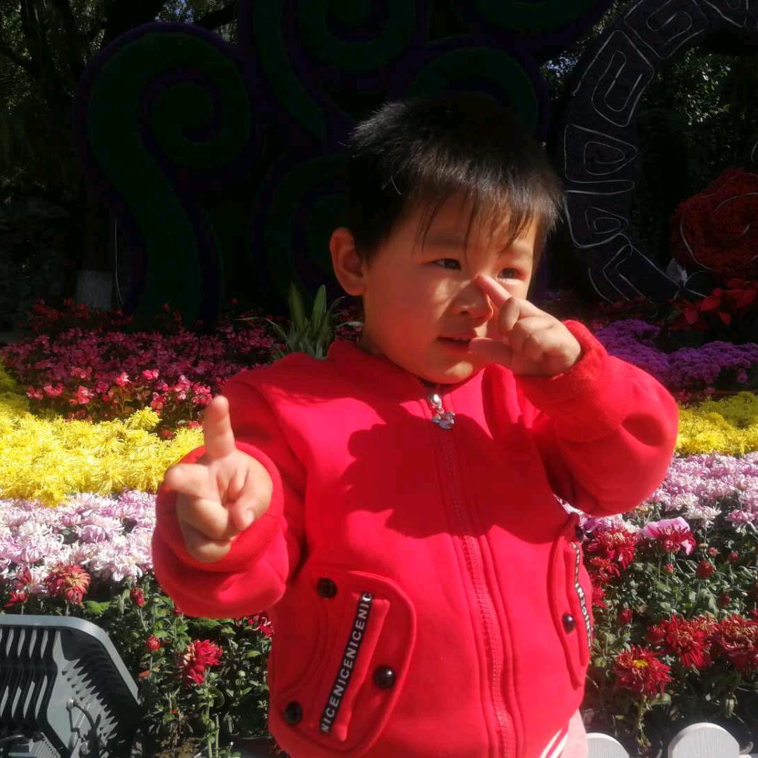 恍然如梦