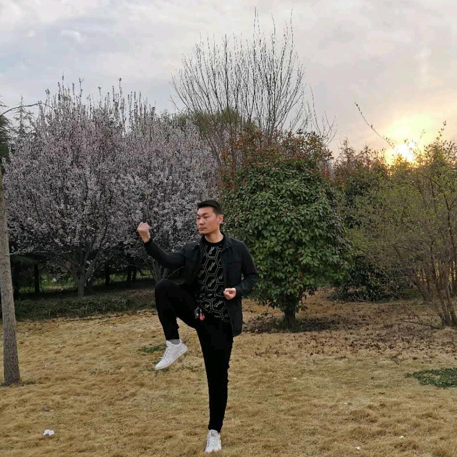 白鹤亮翅