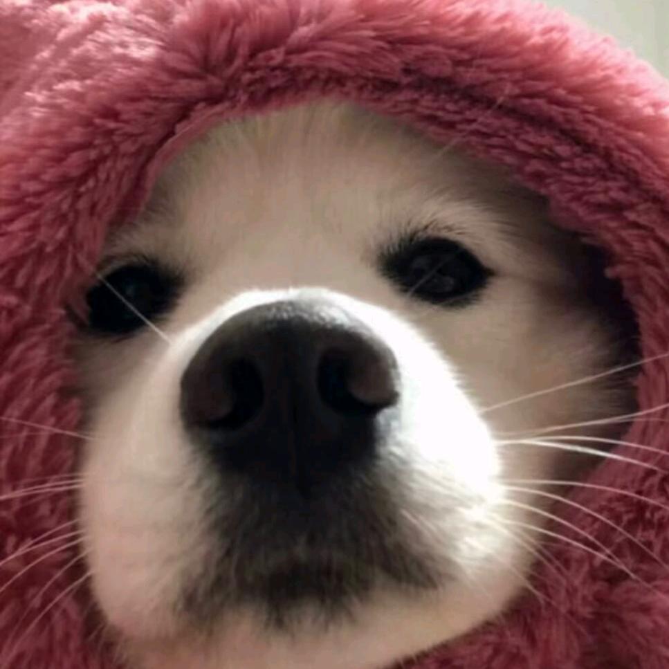 又又又又又困了