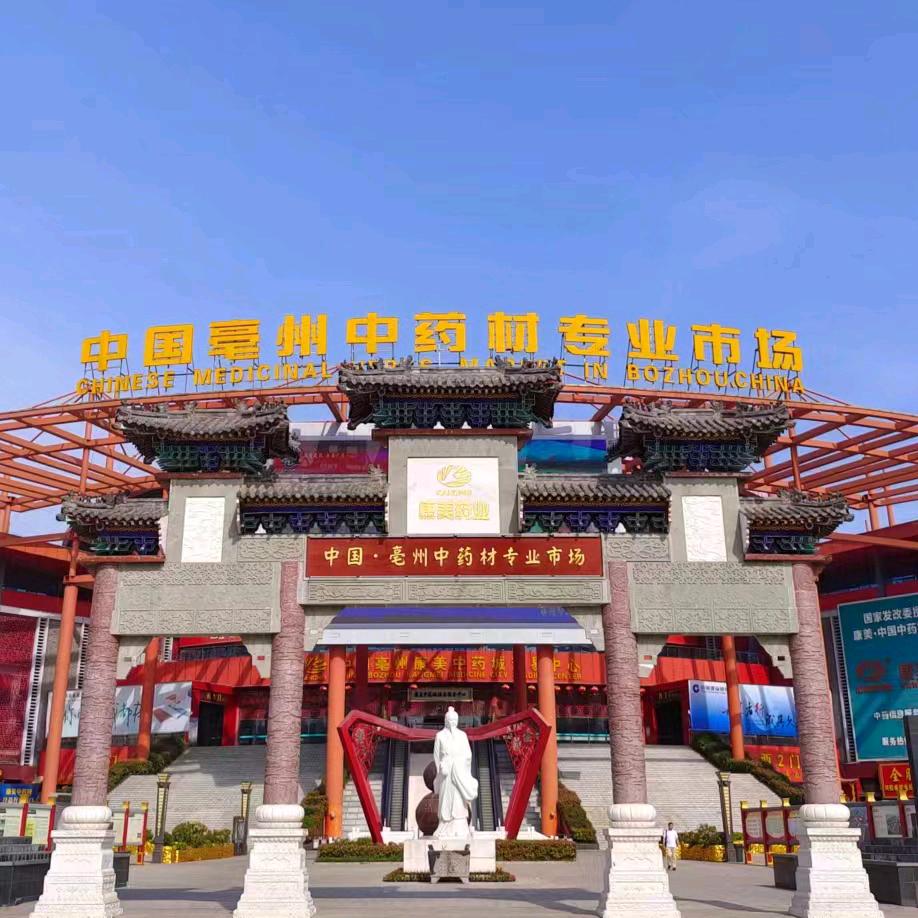 专业点花子牡丹地块 陈亚伟