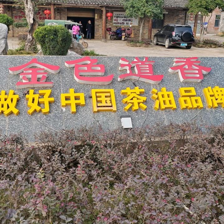 道香茶油
