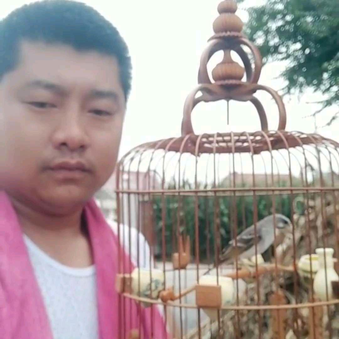 洪伟爱花爱鸟更爱家