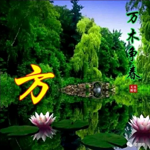 自己给自己的生活