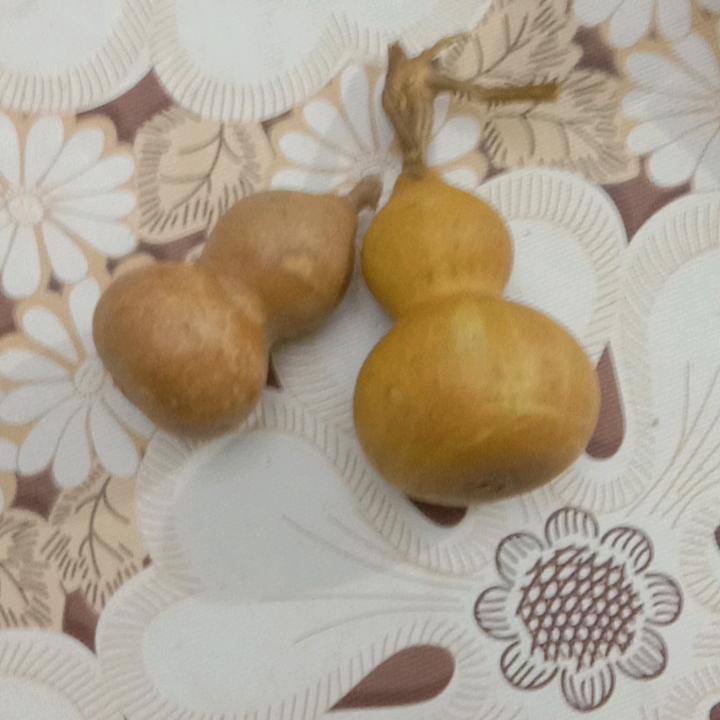 赵（朝）赵（朝）暮暮