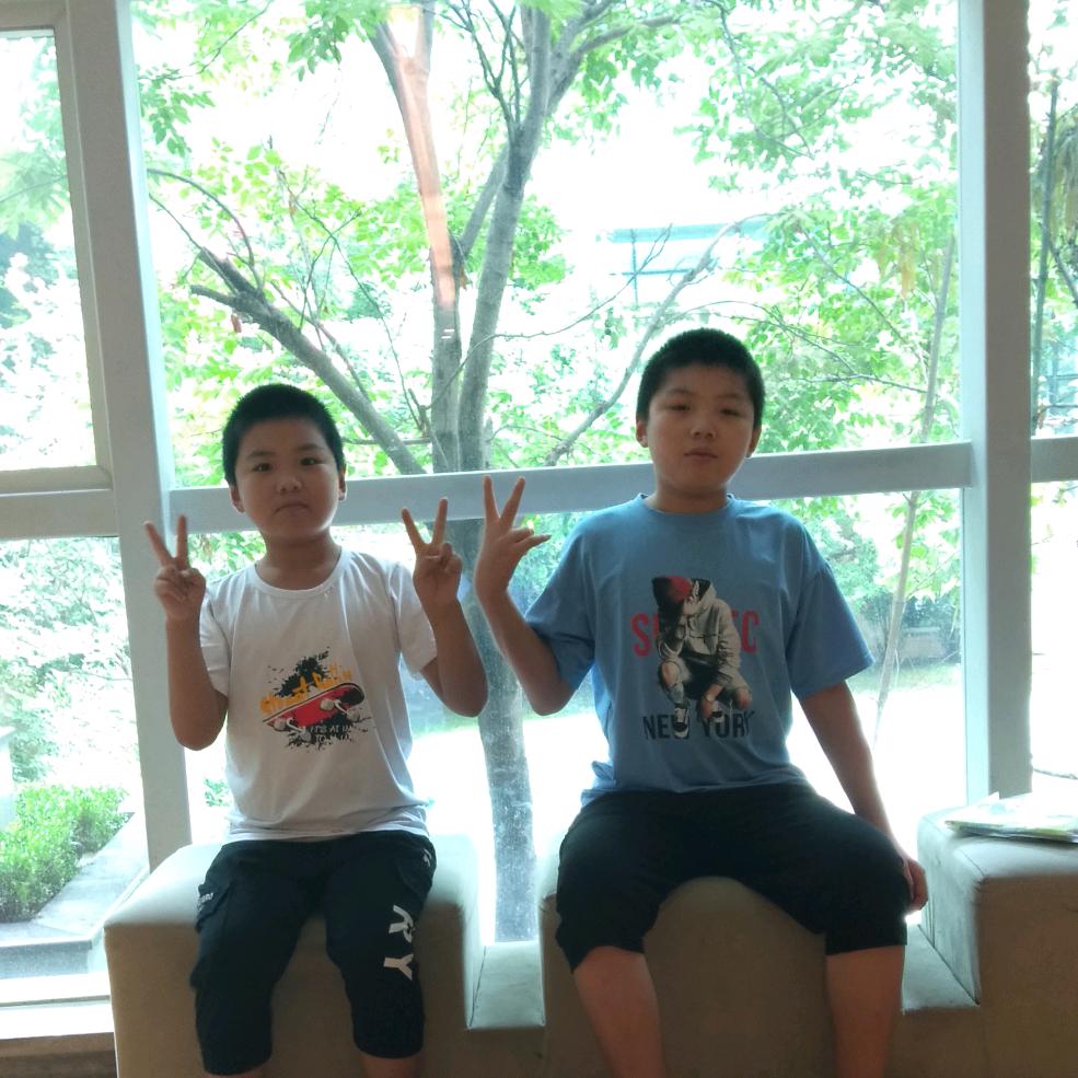 自由的飞翔