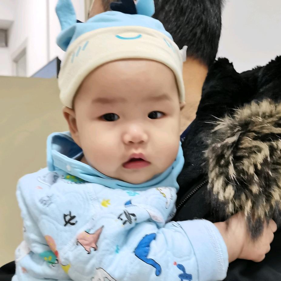 绿萝