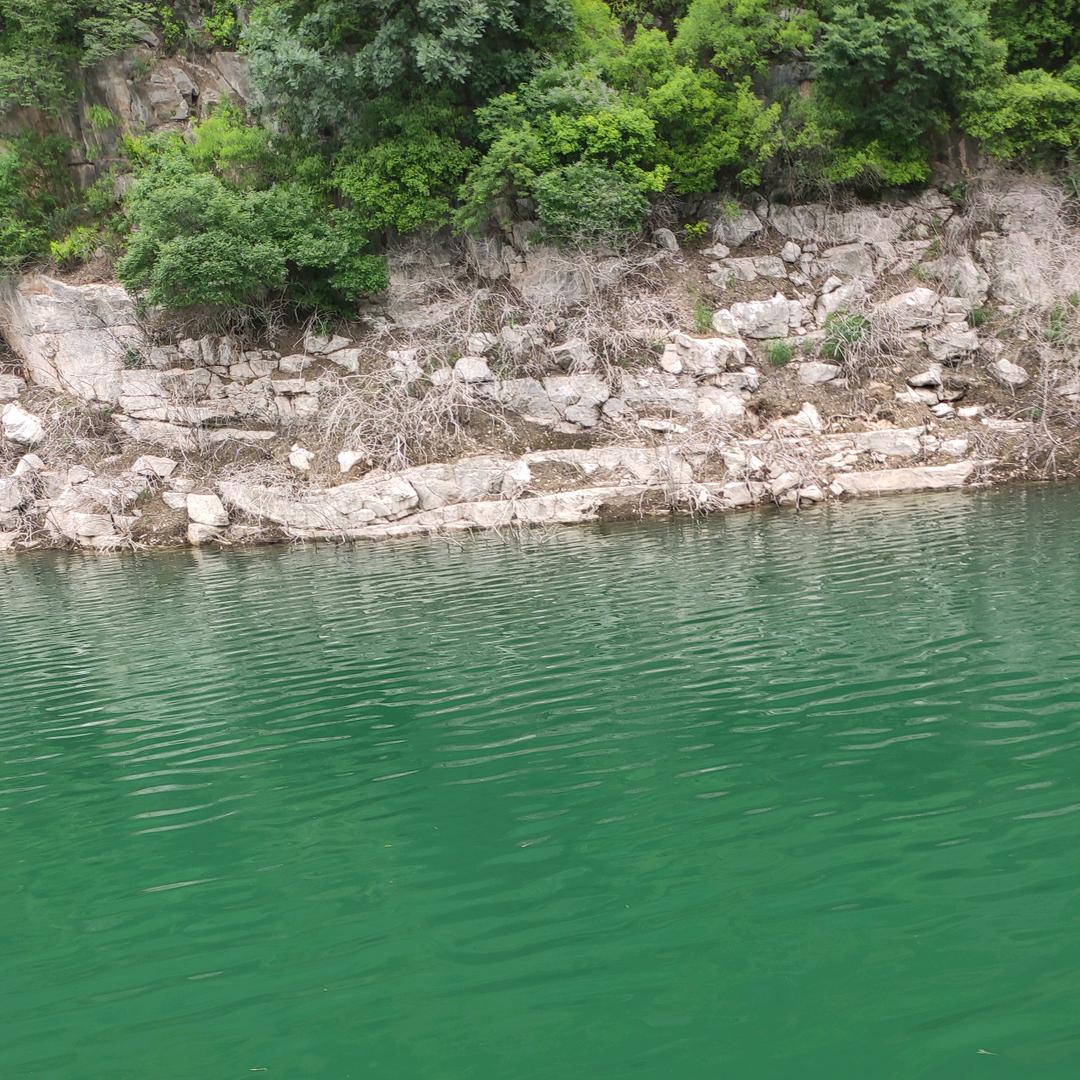 与主同在