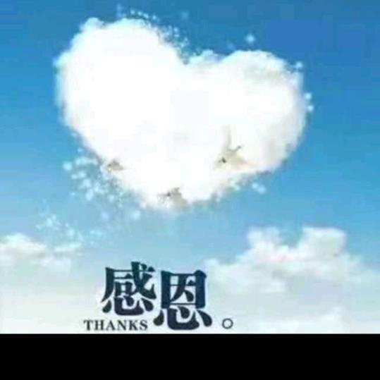 手牵手小杨