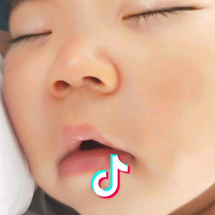 七宝宝