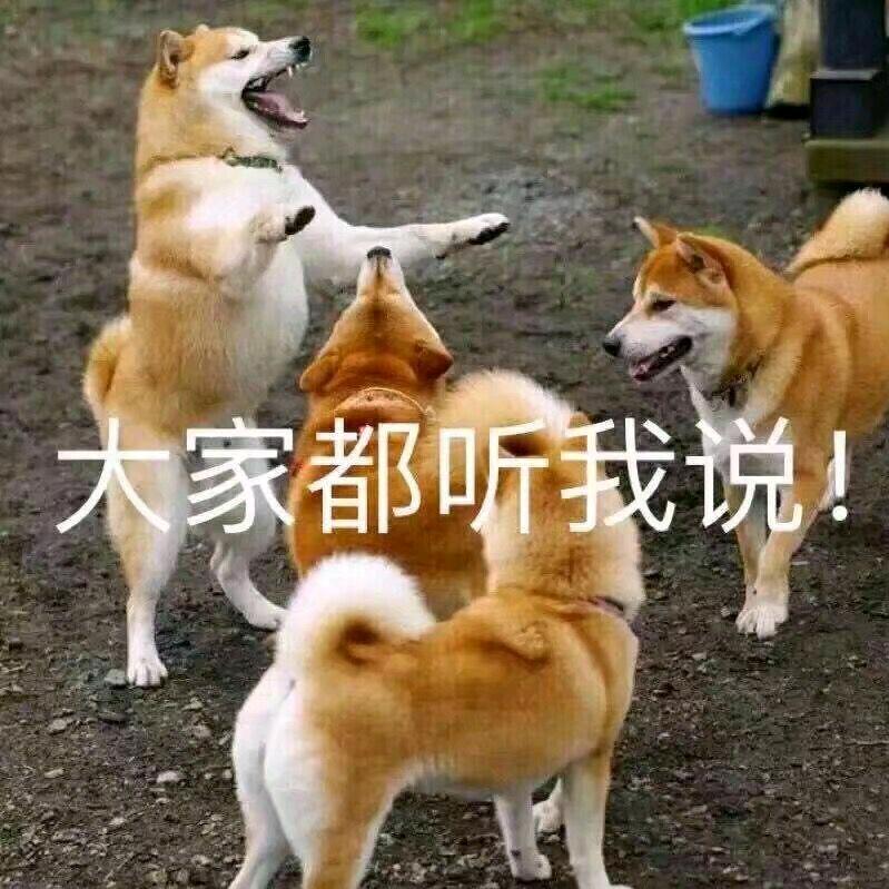 玩雾丧智