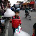 金杨