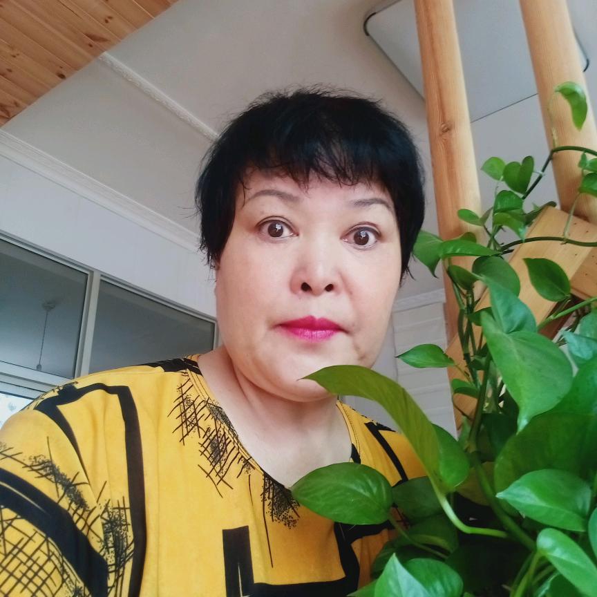 保定李姐