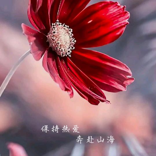 雪🌸