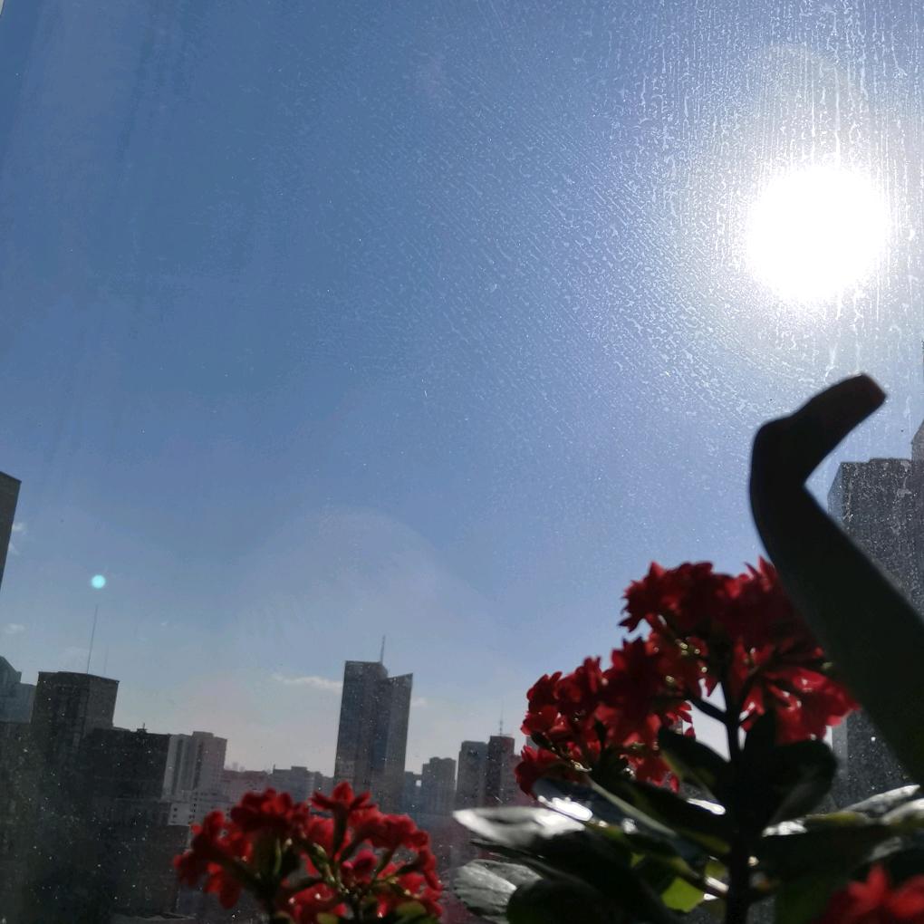 雨露