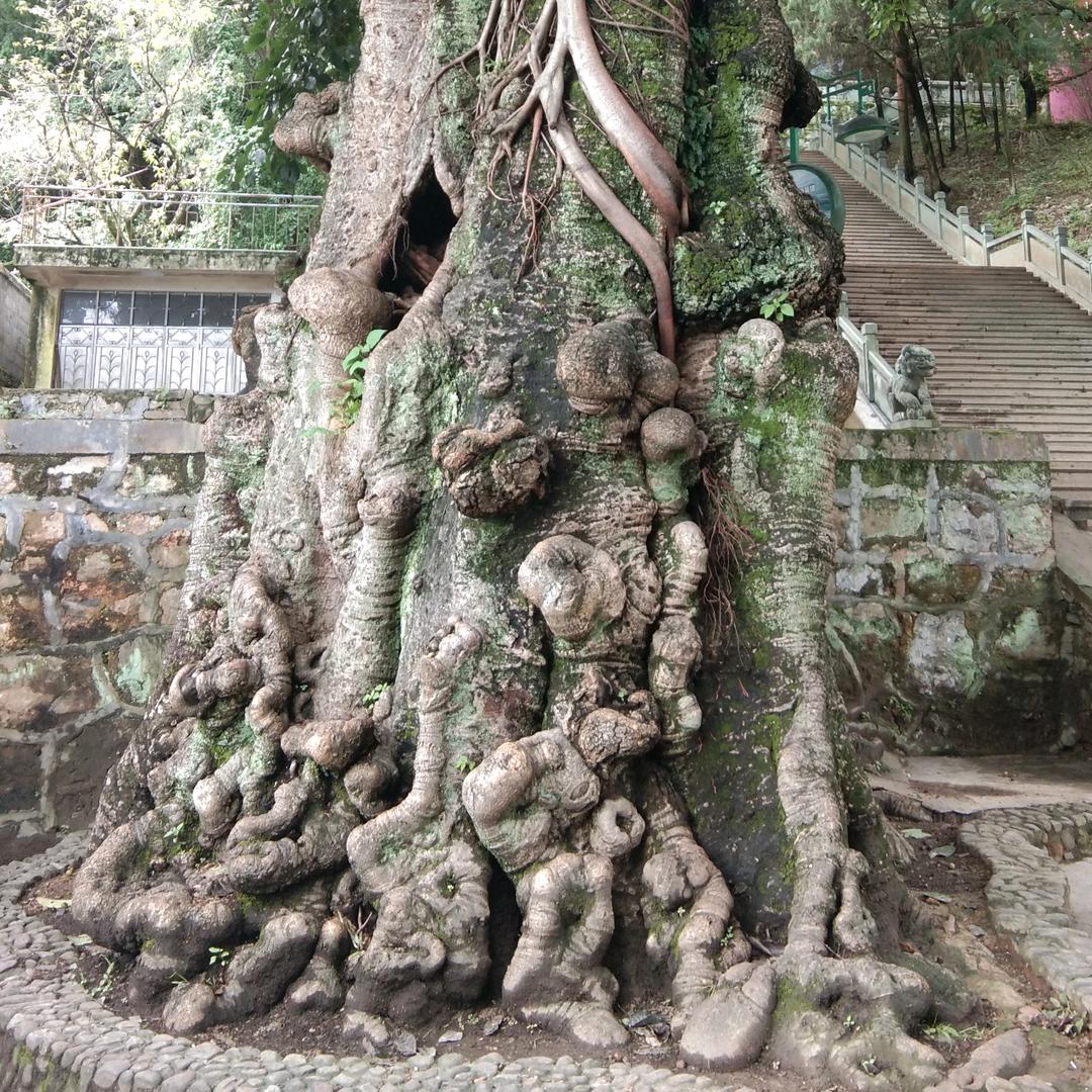 最美相遇