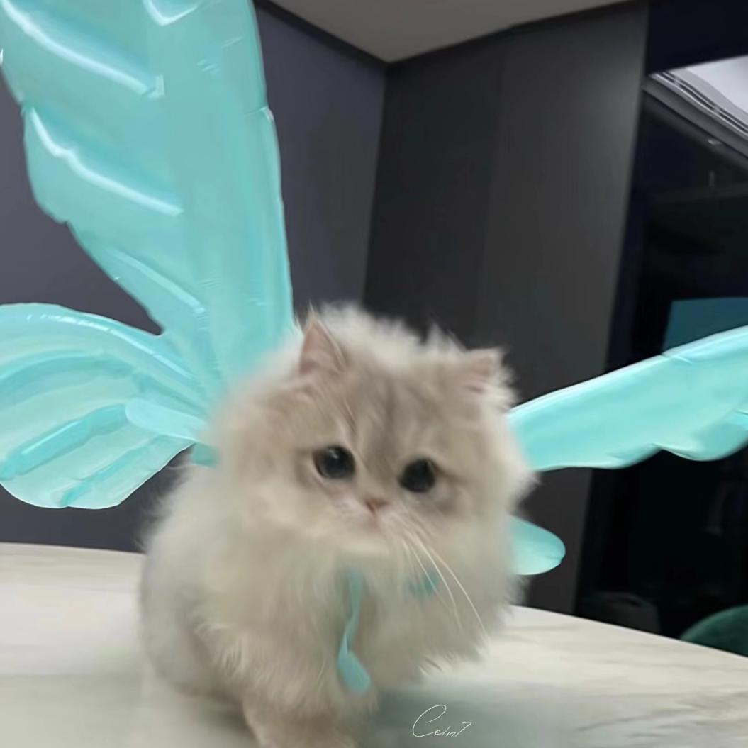 歌与海