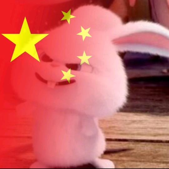 天天向上👍