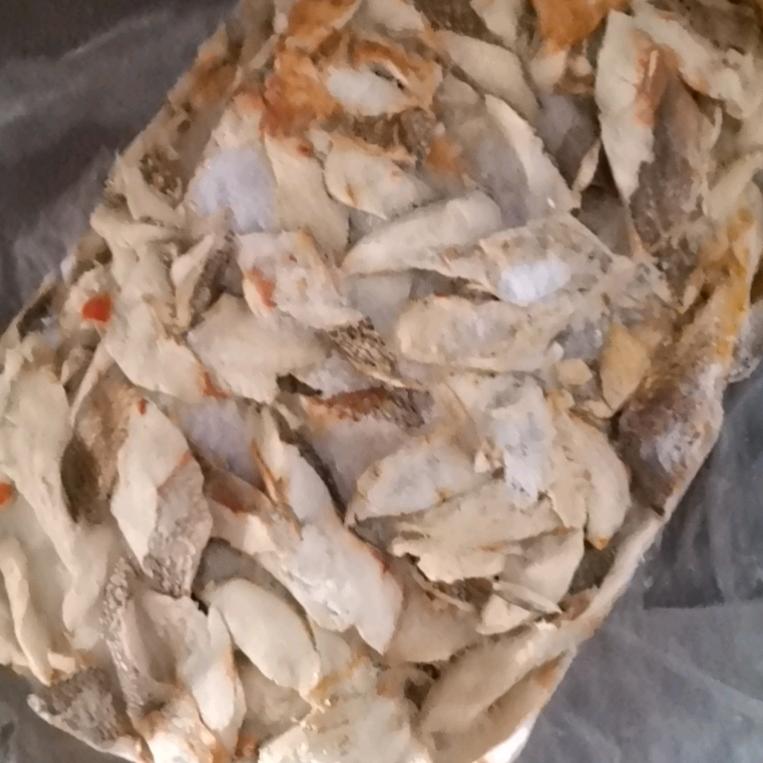 玫瑰公爵