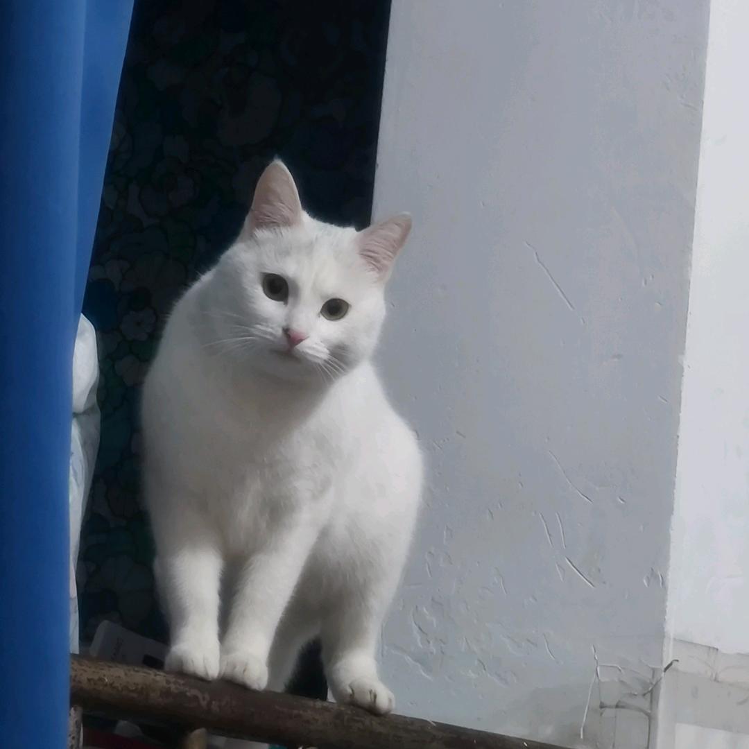 @项