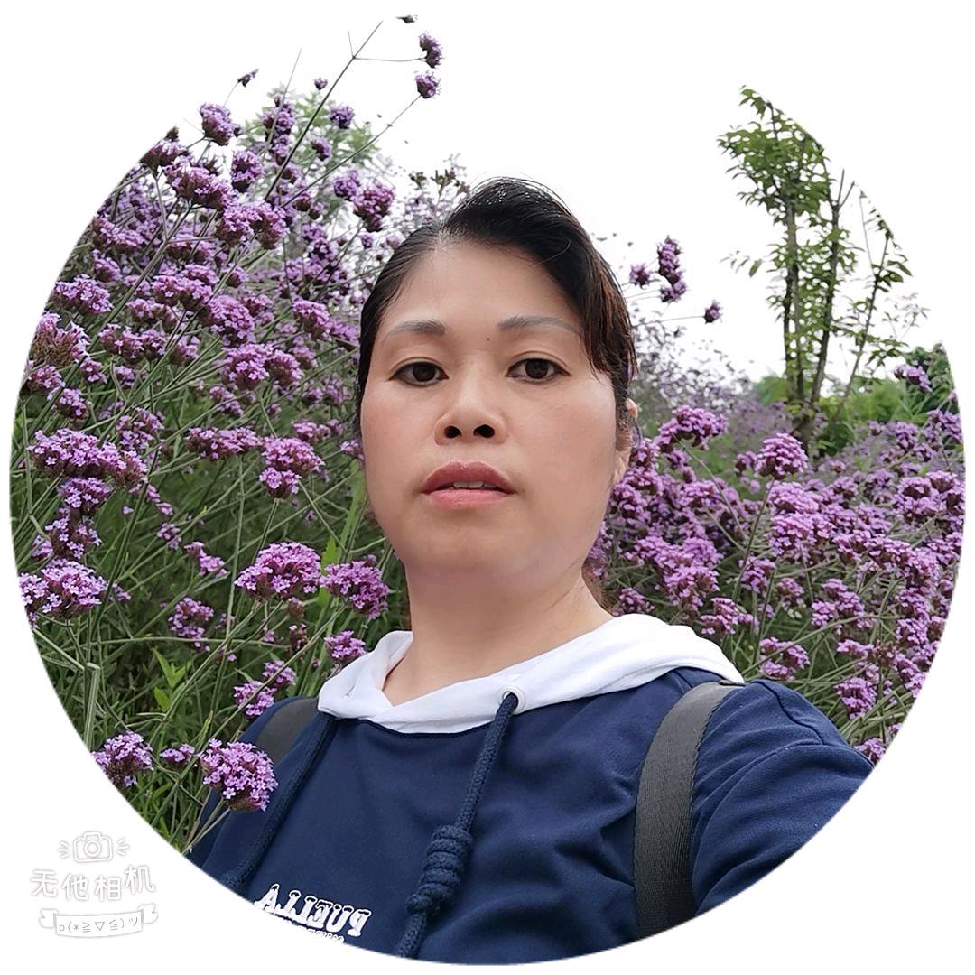 雪莲花好物推荐