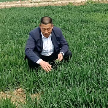 哥是开荒种地的