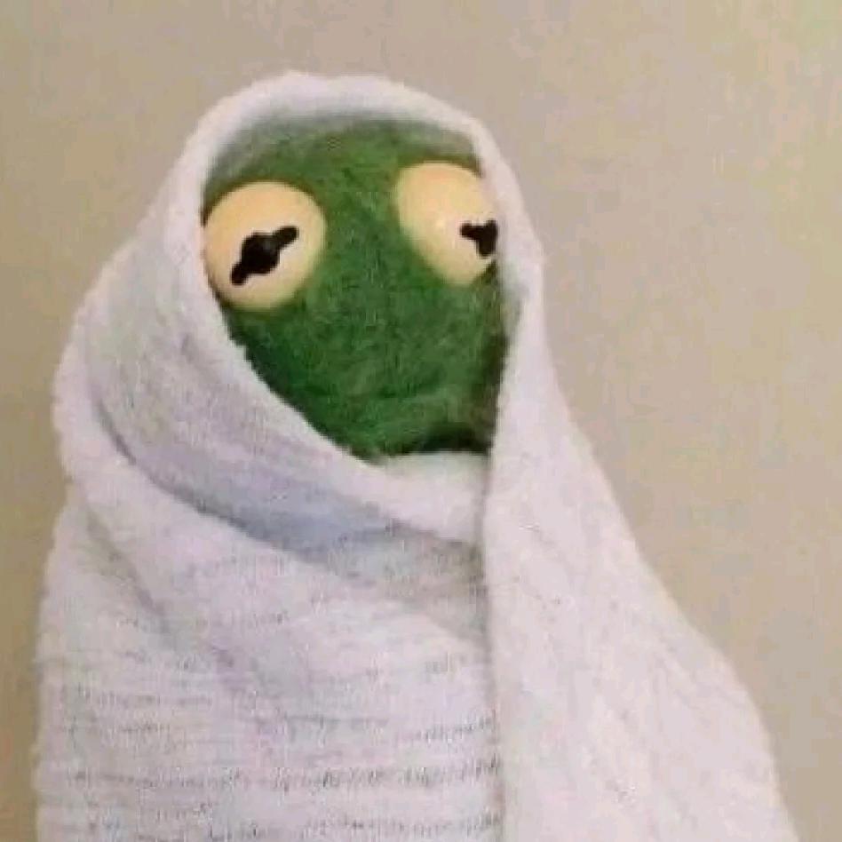 绿山墙的小青蛙