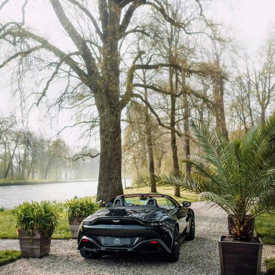 自以为是🐺的🐶