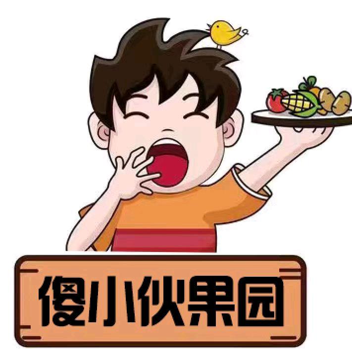 傻小伙水果店