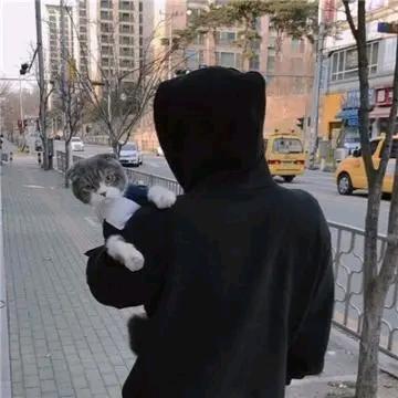 爱剪辑。布老表