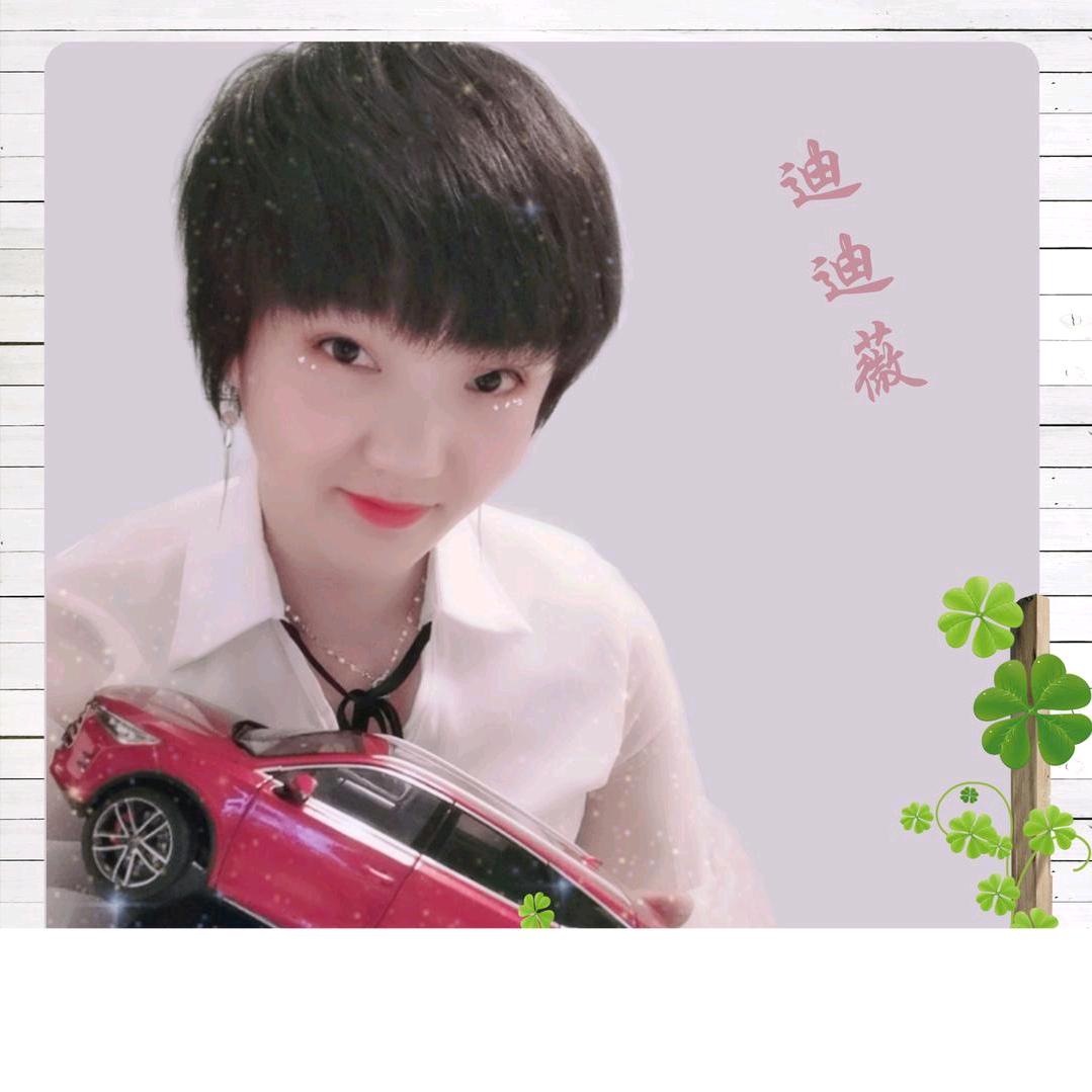 迪迪薇济南
