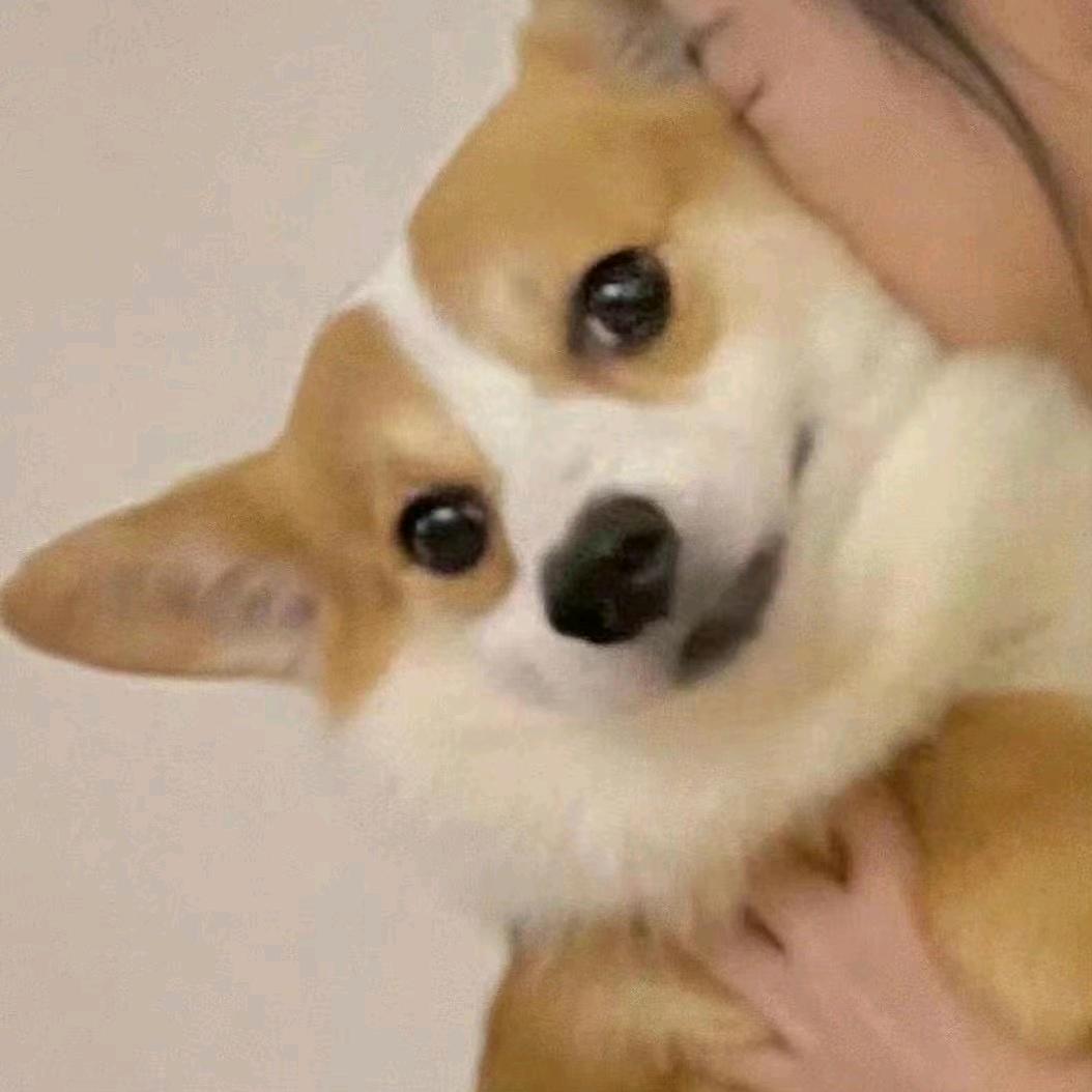 乘风破浪奔小康