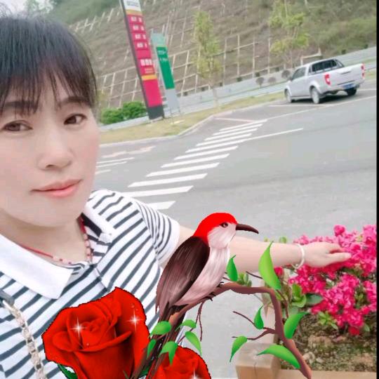 情深似海