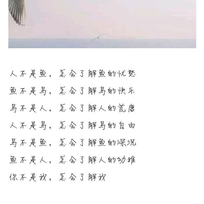 诺宝饰品吧