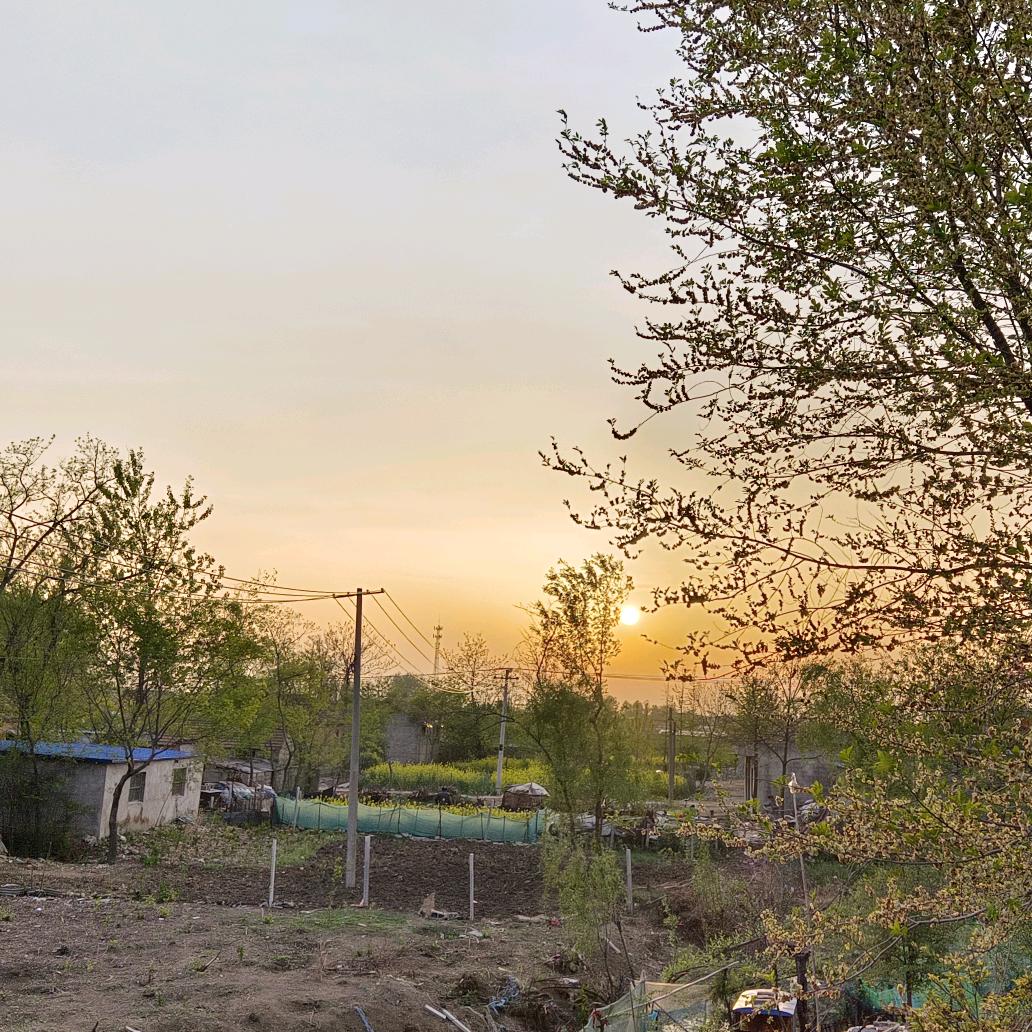 飞蛾不懂火的痛.