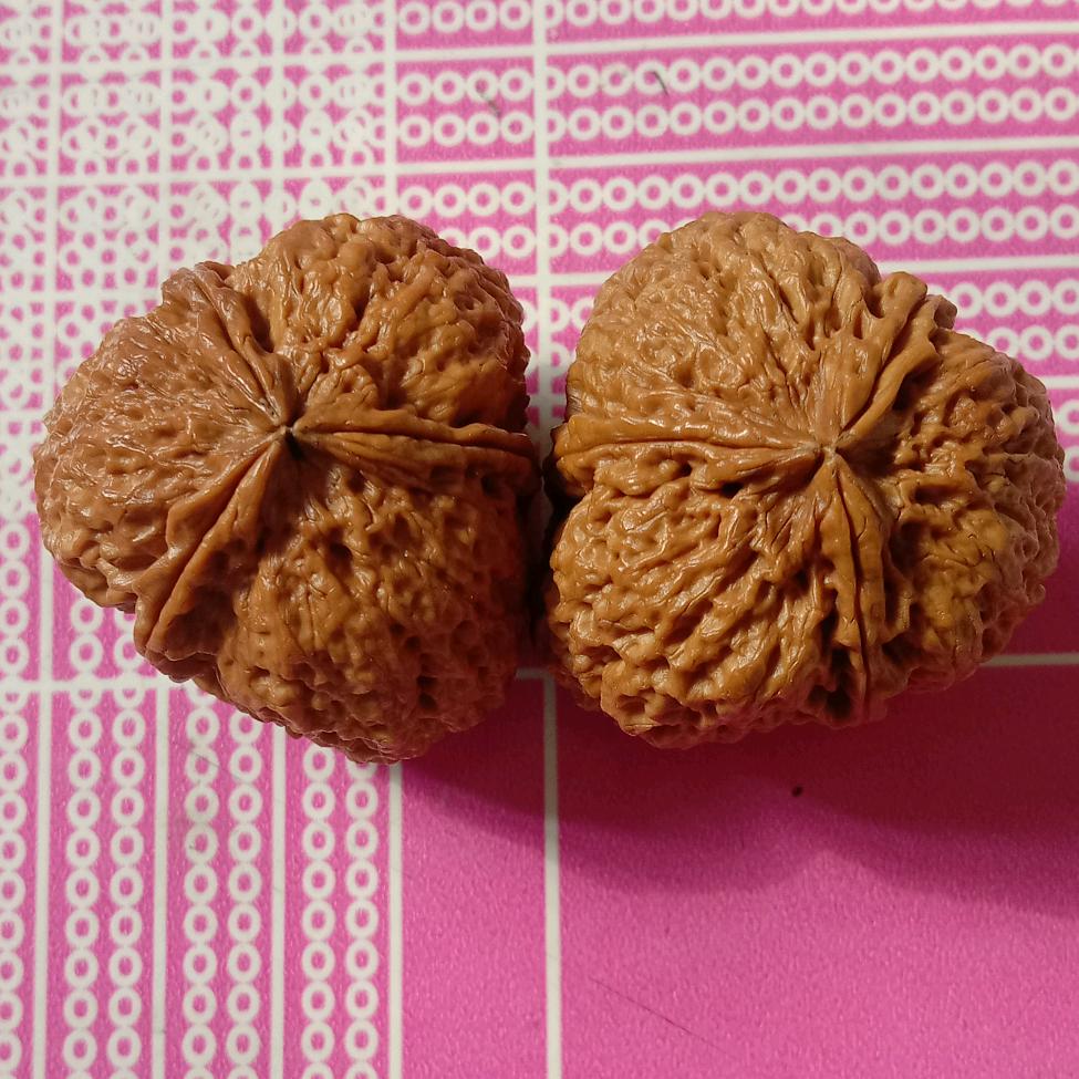 一切随缘