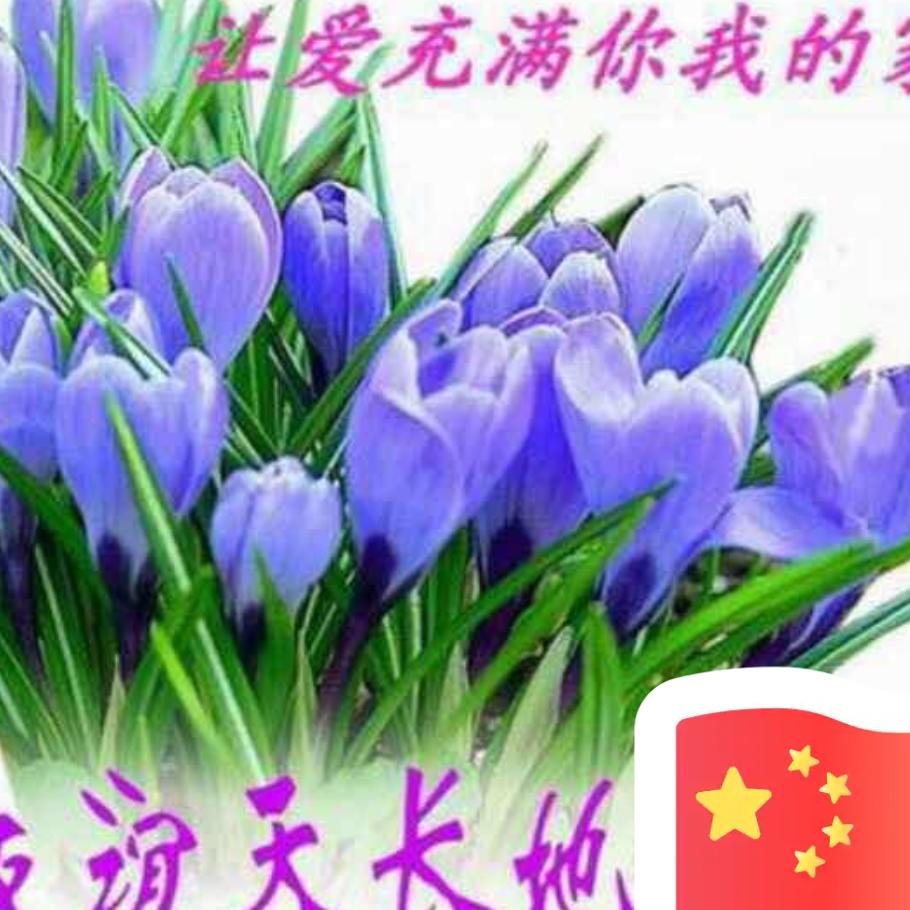 宽容