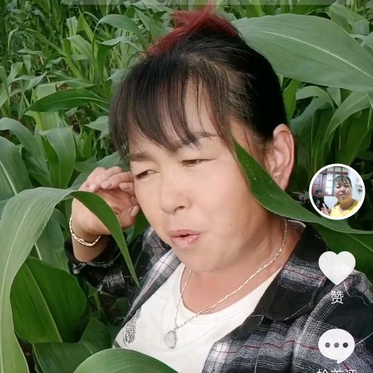 贾小美