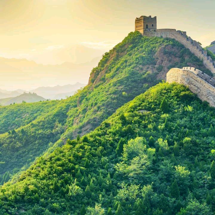 志同道合