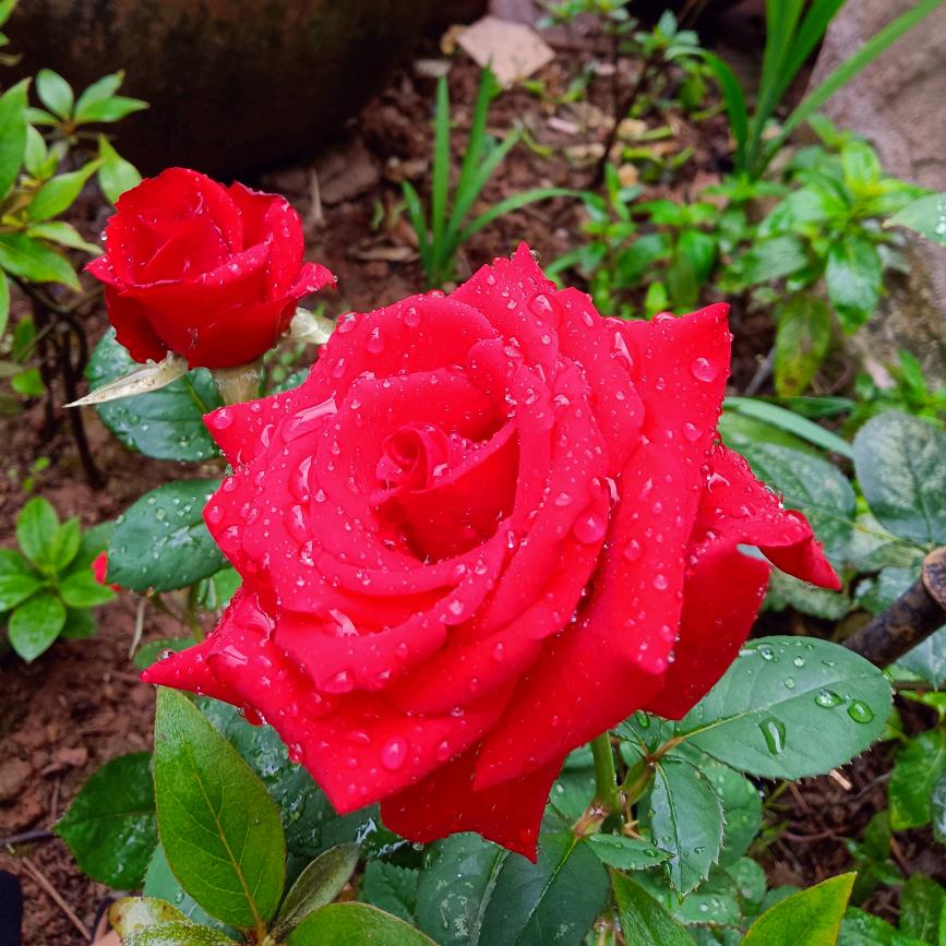 Ｉ ❤ᵧₒᵤ✨俊语ღ*